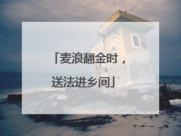 麦浪翻金时，送法进乡间