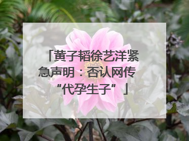 黄子韬徐艺洋紧急声明：否认网传 “代孕生子”