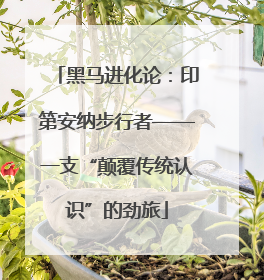 黑马进化论：印第安纳步行者——一支“颠覆传统认识”的劲旅