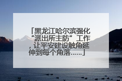 黑龙江哈尔滨强化“派出所主防”工作，让平安建设触角延伸到每个角落……