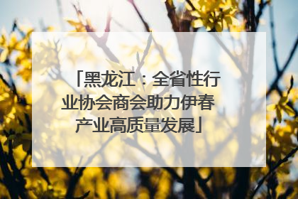 黑龙江：全省性行业协会商会助力伊春产业高质量发展
