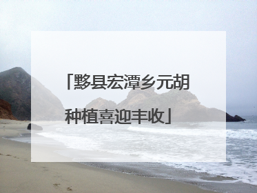 黟县宏潭乡元胡种植喜迎丰收