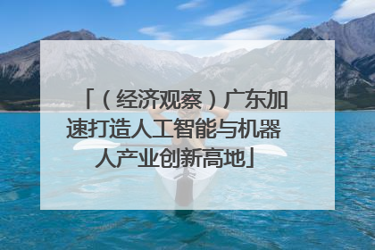 （经济观察）广东加速打造人工智能与机器人产业创新高地
