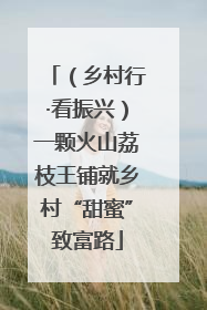 （乡村行·看振兴）一颗火山荔枝王铺就乡村“甜蜜”致富路