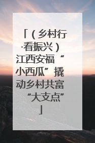 （乡村行·看振兴）江西安福“小西瓜”撬动乡村共富“大支点”