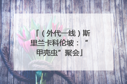 （外代一线）斯里兰卡科伦坡：“甲壳虫”聚会