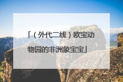 （外代二线）欧宝动物园的非洲象宝宝