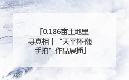 0.186亩土地里寻真相｜“天平杯·随手拍”作品展播