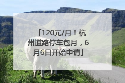 120元/月！杭州道路停车包月，6月6日开始申请