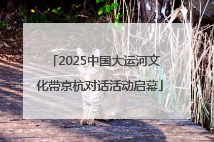 2025中国大运河文化带京杭对话活动启幕