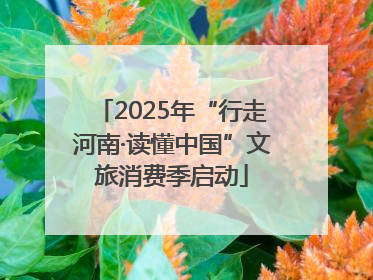2025年“行走河南·读懂中国”文旅消费季启动