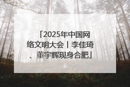 2025年中国网络文明大会丨李佳琦、董宇辉现身合肥