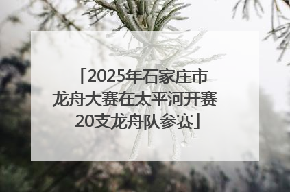 2025年石家庄市龙舟大赛在太平河开赛 20支龙舟队参赛