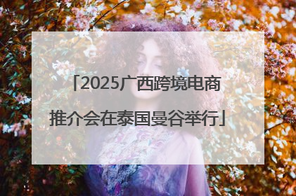2025广西跨境电商推介会在泰国曼谷举行