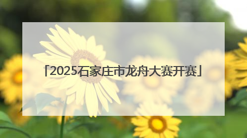 2025石家庄市龙舟大赛开赛
