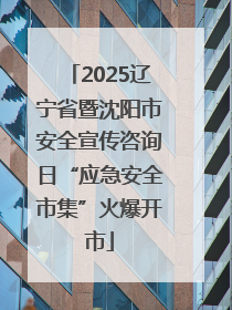 2025辽宁省暨沈阳市安全宣传咨询日“应急安全市集”火爆开市