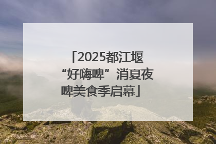 2025都江堰“好嗨啤”消夏夜啤美食季启幕