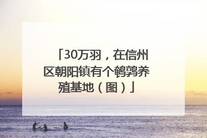 30万羽，在信州区朝阳镇有个鹌鹑养殖基地（图）