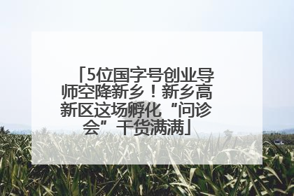 5位国字号创业导师空降新乡！新乡高新区这场孵化“问诊会”干货满满