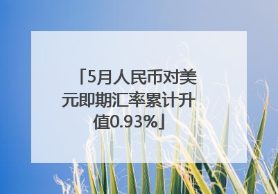 5月人民币对美元即期汇率累计升值0.93%