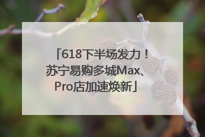 618下半场发力！苏宁易购多城Max、Pro店加速焕新