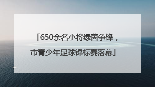 650余名小将绿茵争锋，市青少年足球锦标赛落幕