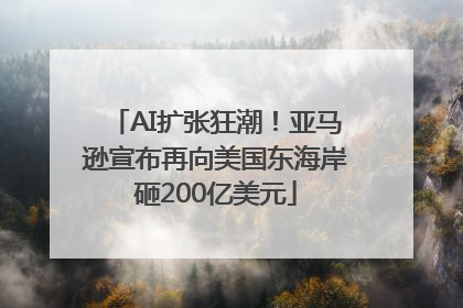 AI扩张狂潮！亚马逊宣布再向美国东海岸砸200亿美元