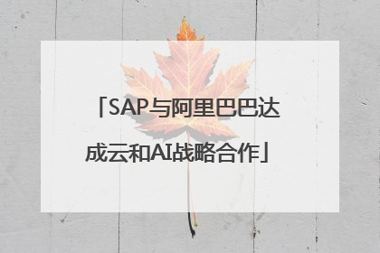 SAP与阿里巴巴达成云和AI战略合作